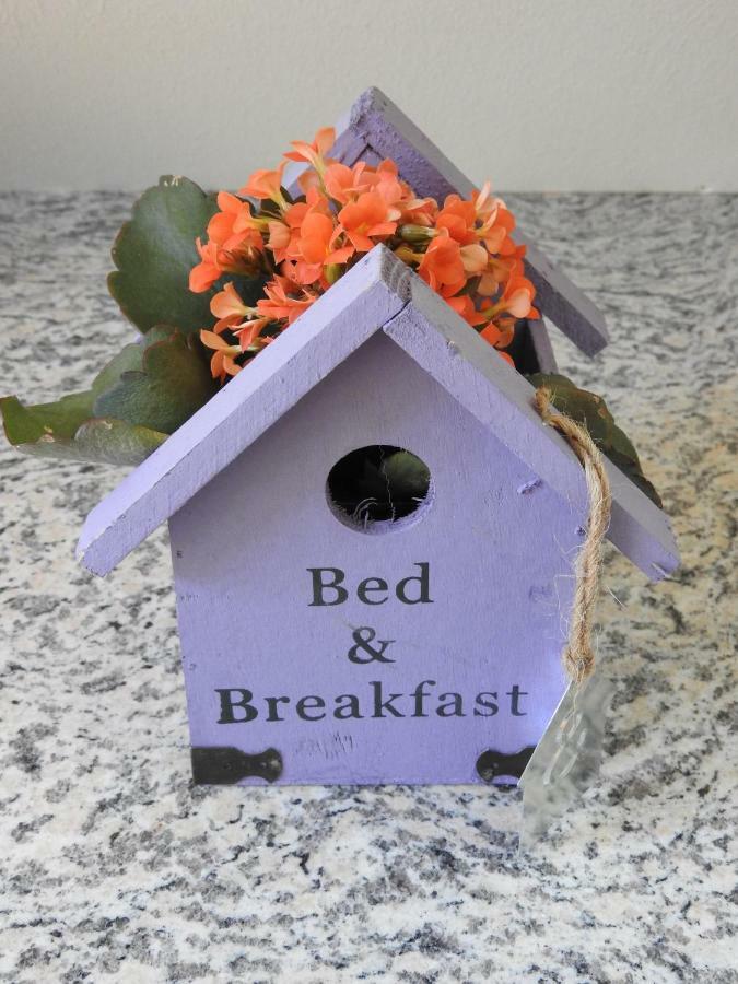 Sweet Home Suite Hallerndorf Bagian luar foto
